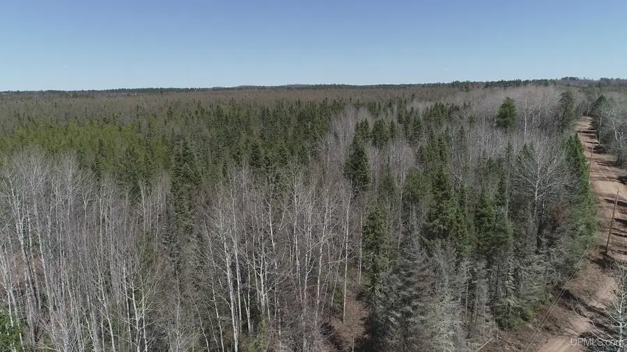 252 Acres Helen Lake, Republic, MI 49879 - Image #2