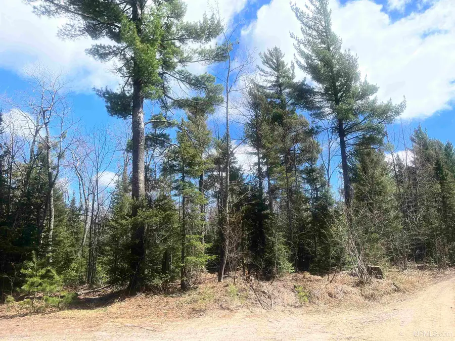 480 Acres Off Cr Aaa, Michigamme, MI 49861 - Image #2