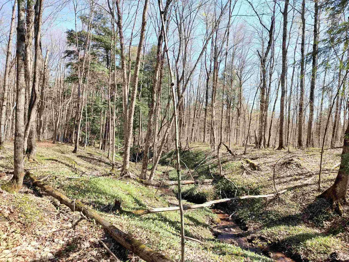 TBD N Firesteel, Greenland, MI 49929 - Image #1