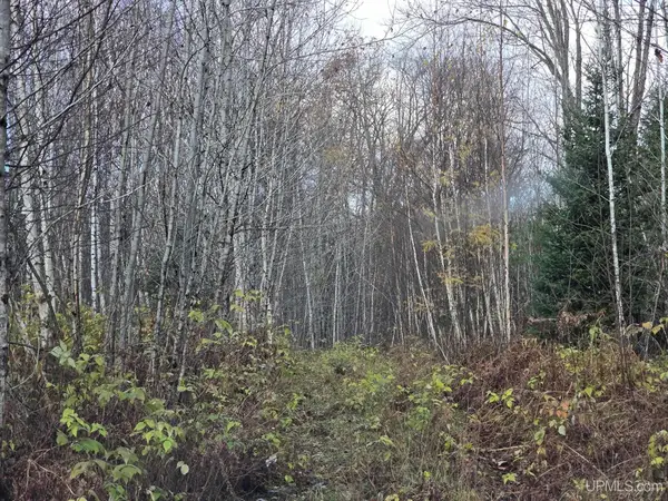 TBD Fence River, Republic, MI 49879