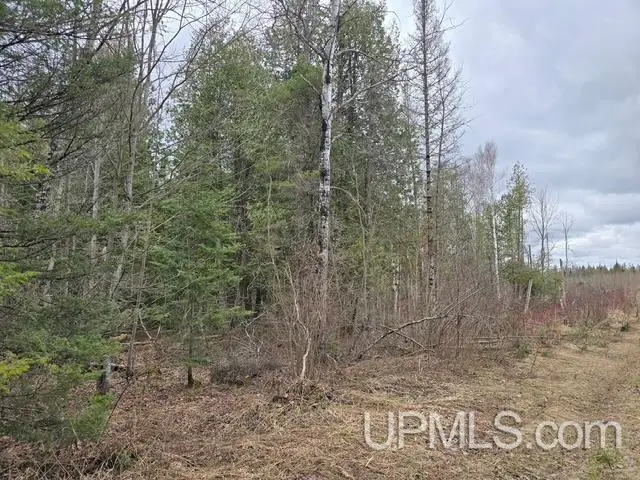 TBD Fence River, Republic, MI 49879 - #3