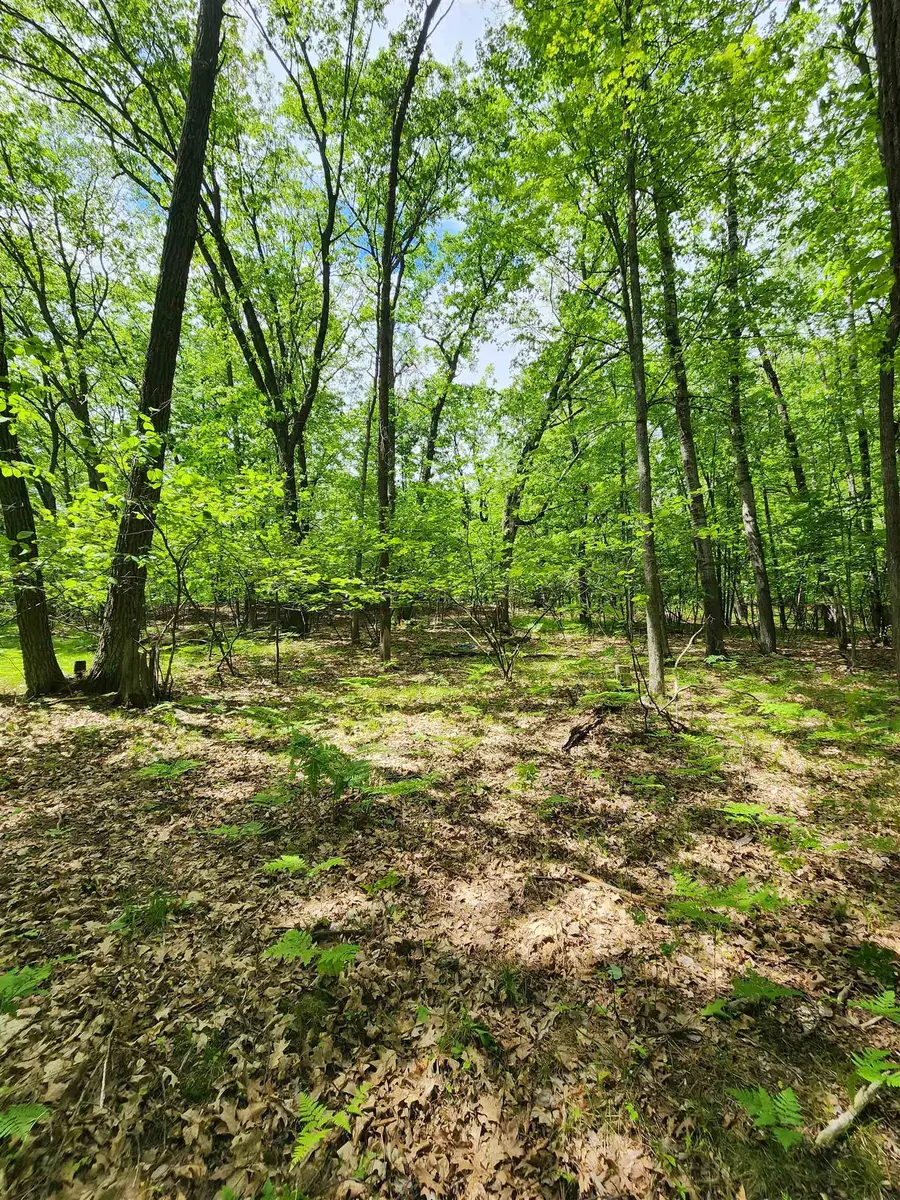 Lot 827 Hemlock, Farwell, MI 48622 - Image #2