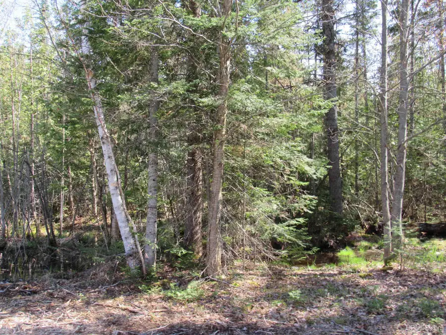 TBD Rice Lake, Lake Linden, MI 49945 - Image #3