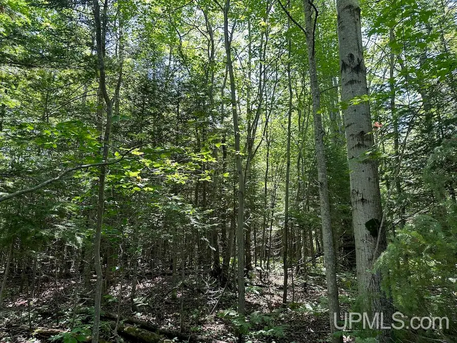Parcel B Webb, Grand Marais, MI 49839 - Image #3