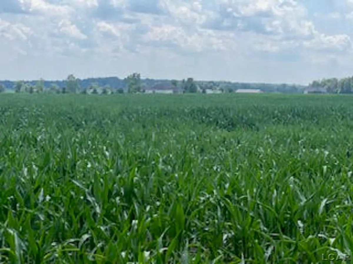 1000 Dinius, Tecumseh, MI 49286 - Image #1