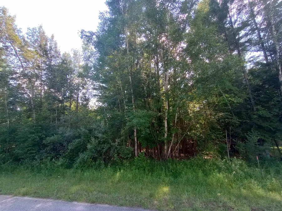 Lot 41 Sandbridge, Gladwin, MI 48624 - Image #3