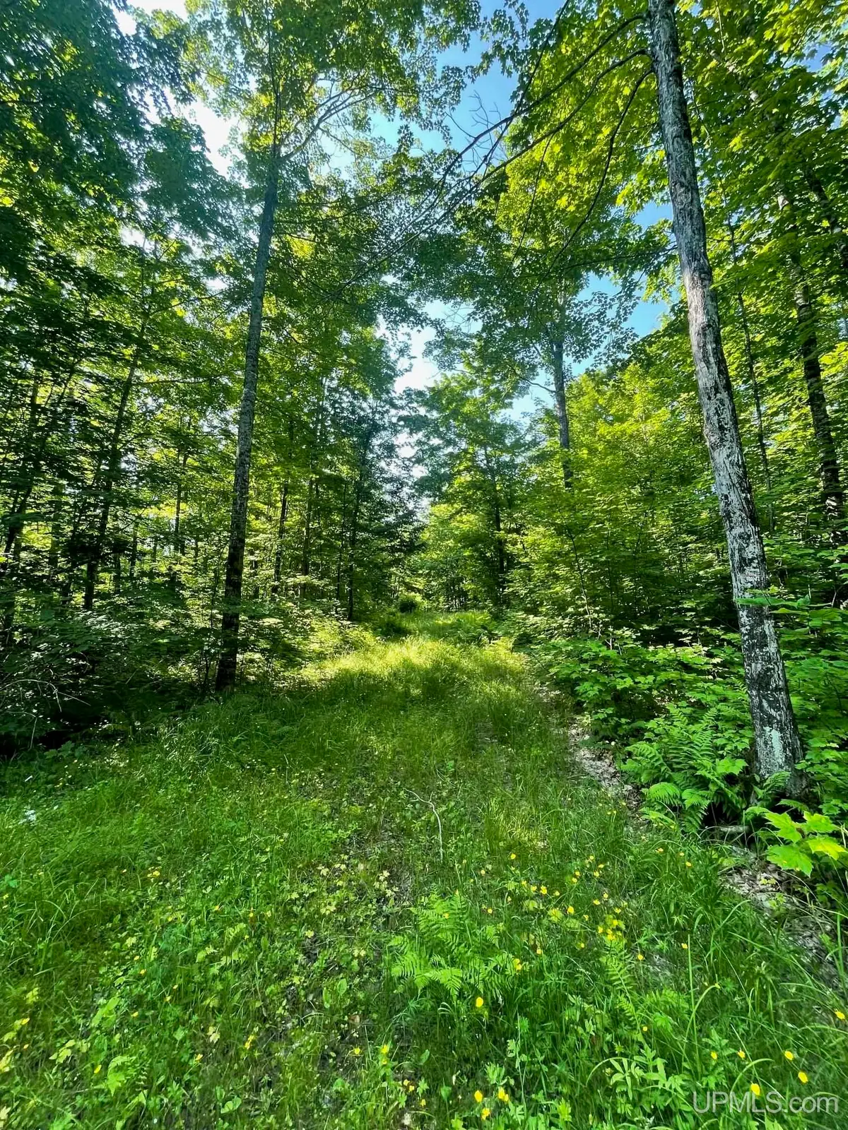 TBD A Off Gay, Lake Linden, MI 49945 - Image #1