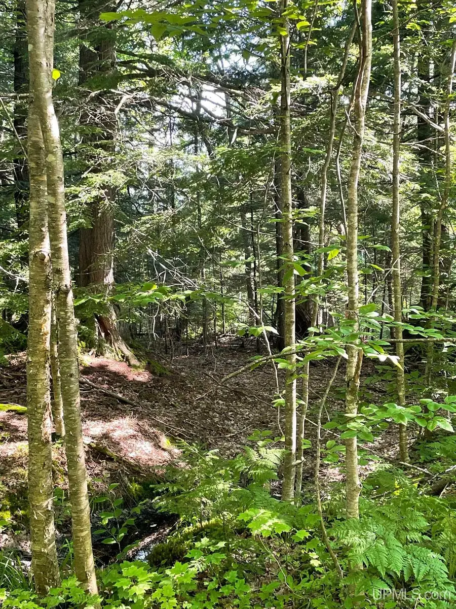 TBD A Off Gay, Lake Linden, MI 49945 - Image #2