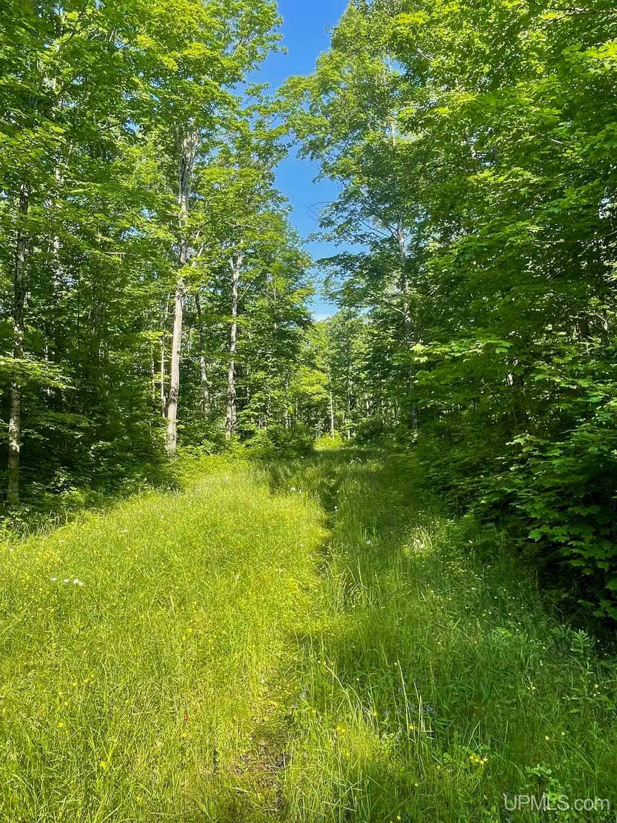 TBD A Off Gay, Lake Linden, MI 49945 - Image #3