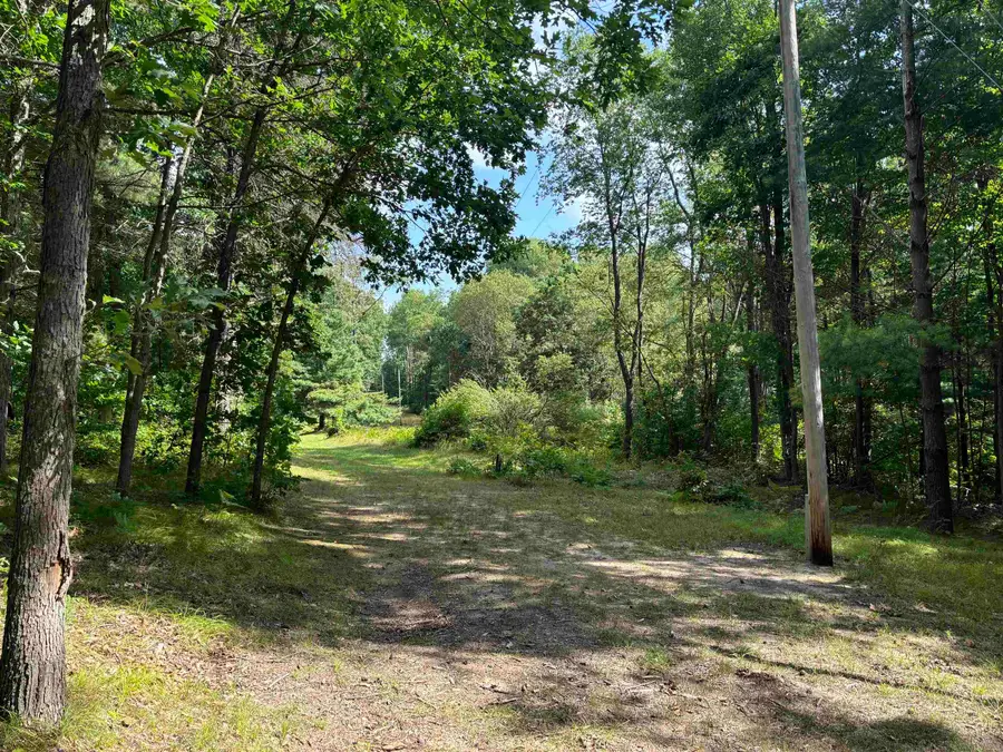 3110 W Adams, Lake, MI 48632 - Image #3