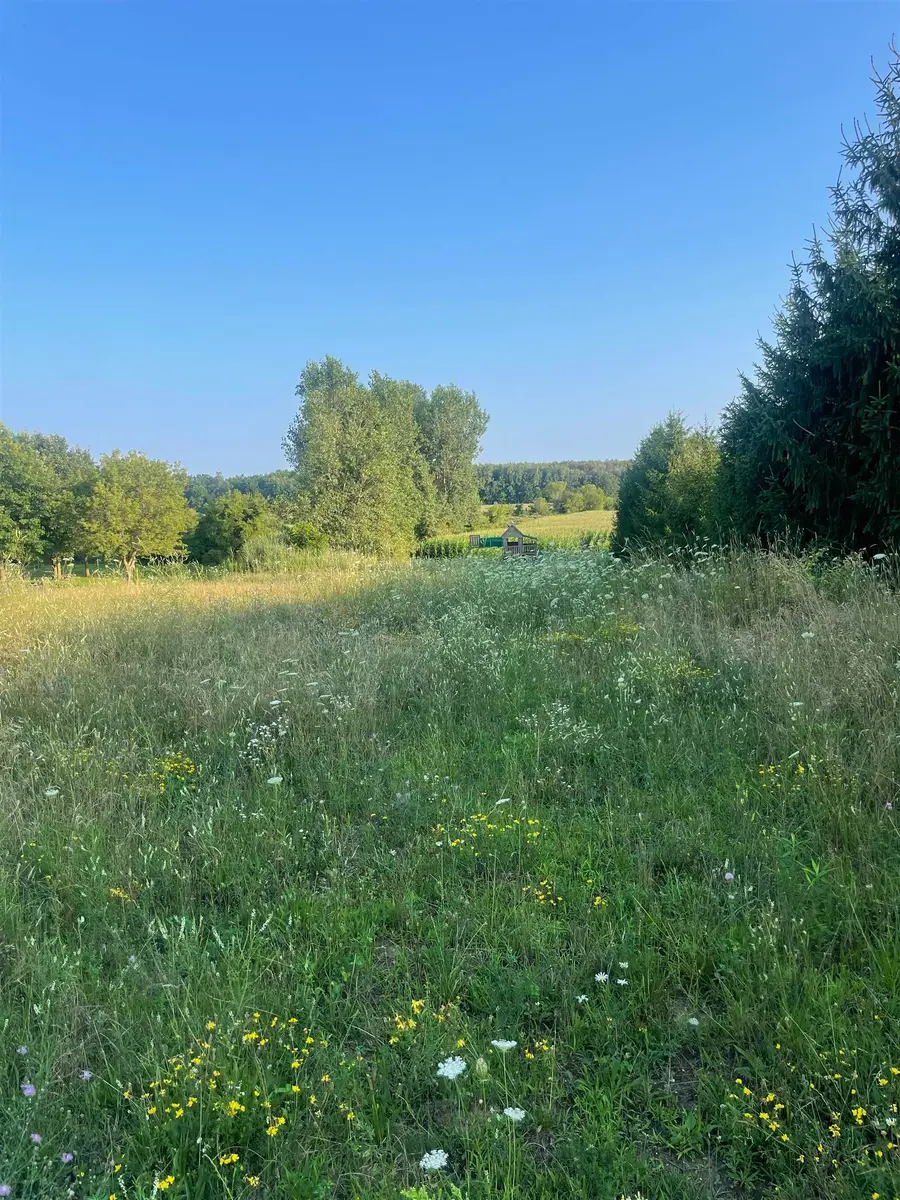 10529 Hill, Swartz Creek, MI 48473 - #2