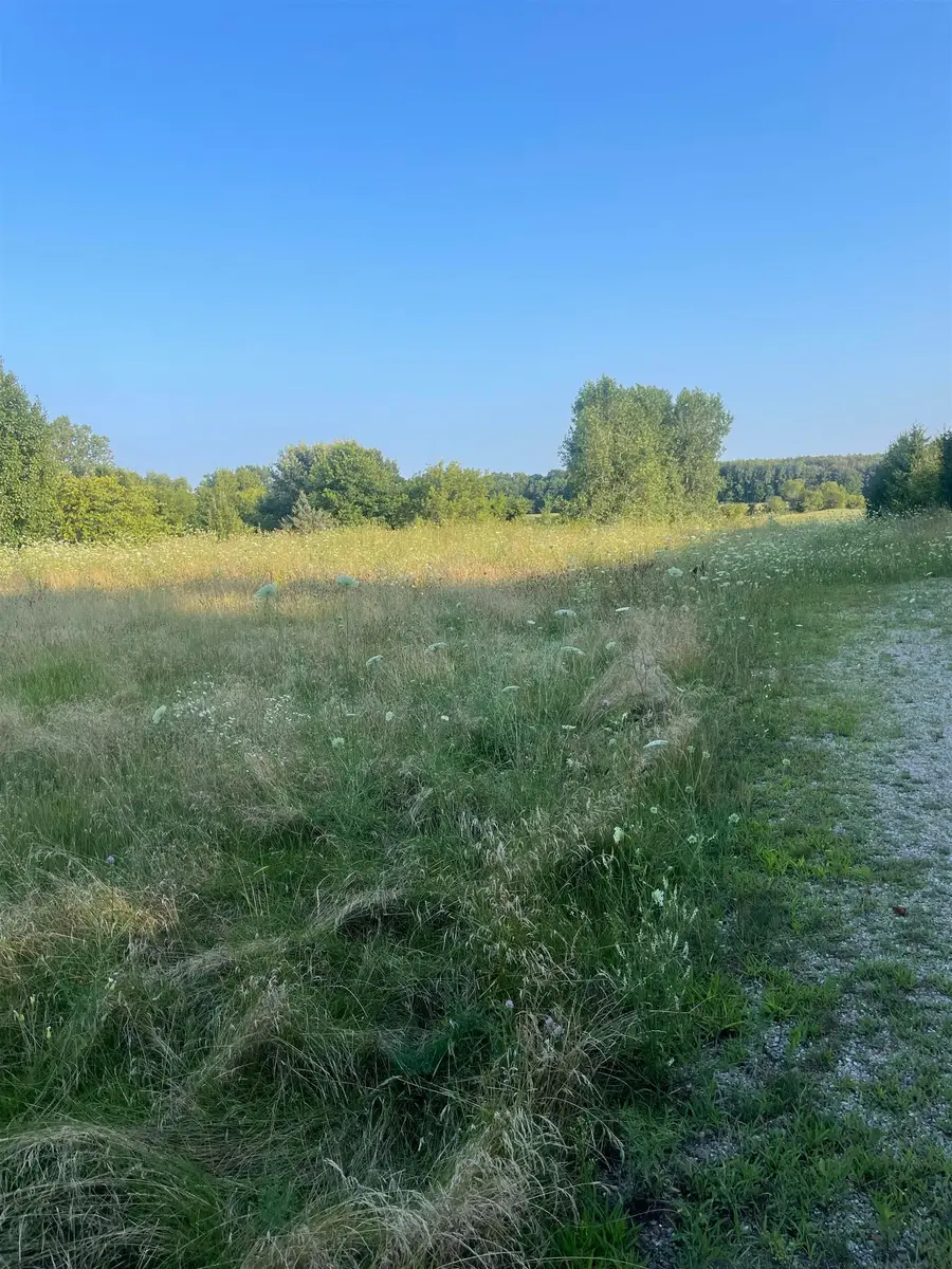 10529 Hill, Swartz Creek, MI 48473 - #3