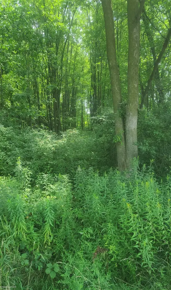 00 Sheridan, Emmett, MI 48022