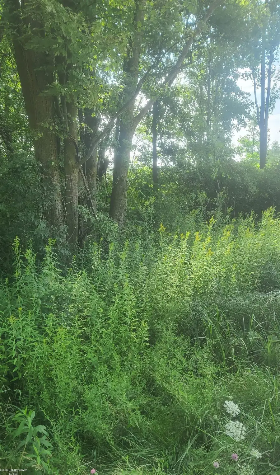 00 Sheridan, Emmett, MI 48022 - Image #2