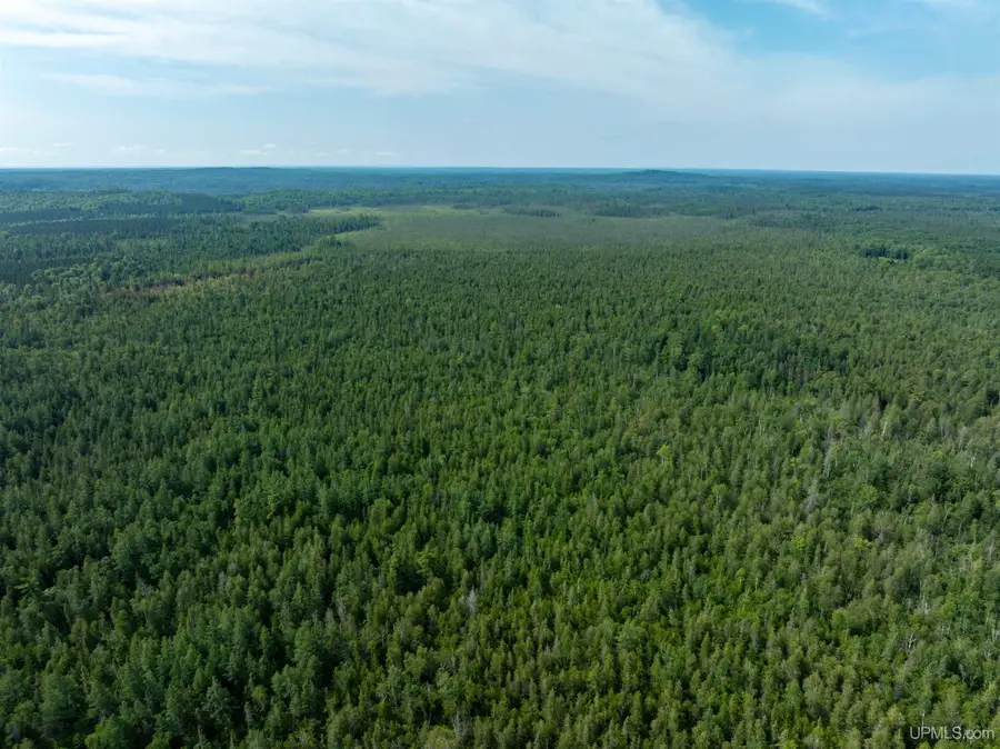 15120 36th, Nahma, MI 49864 - Image #3