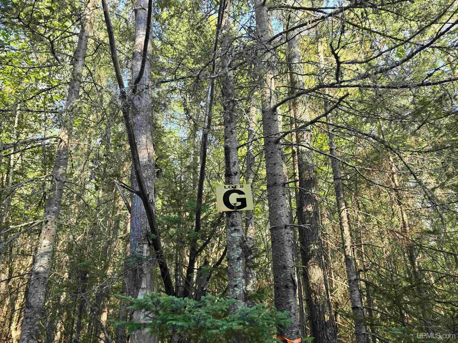 TBD Lake Superior Pt Lot K & Lot G, Deerton, MI 49822 - Image #3