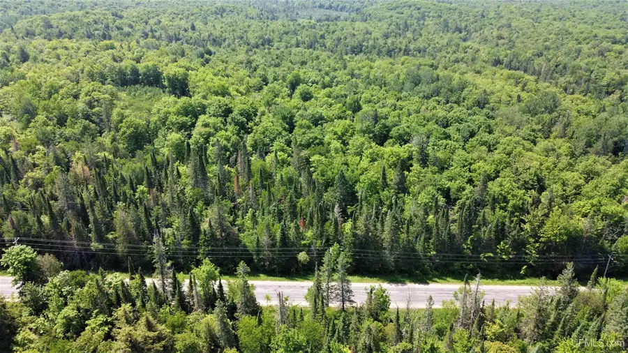 on W Shingleton, Shingleton, MI 49884 - Image #3