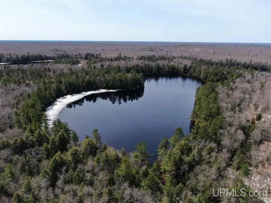 0000 Near Old Seney, Seney, MI 49883 - Image #2