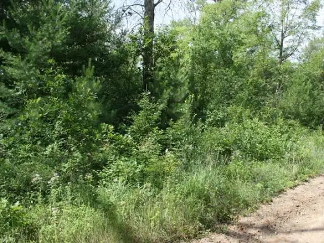 435* Pine, Harrison, MI 48625 - Image #3