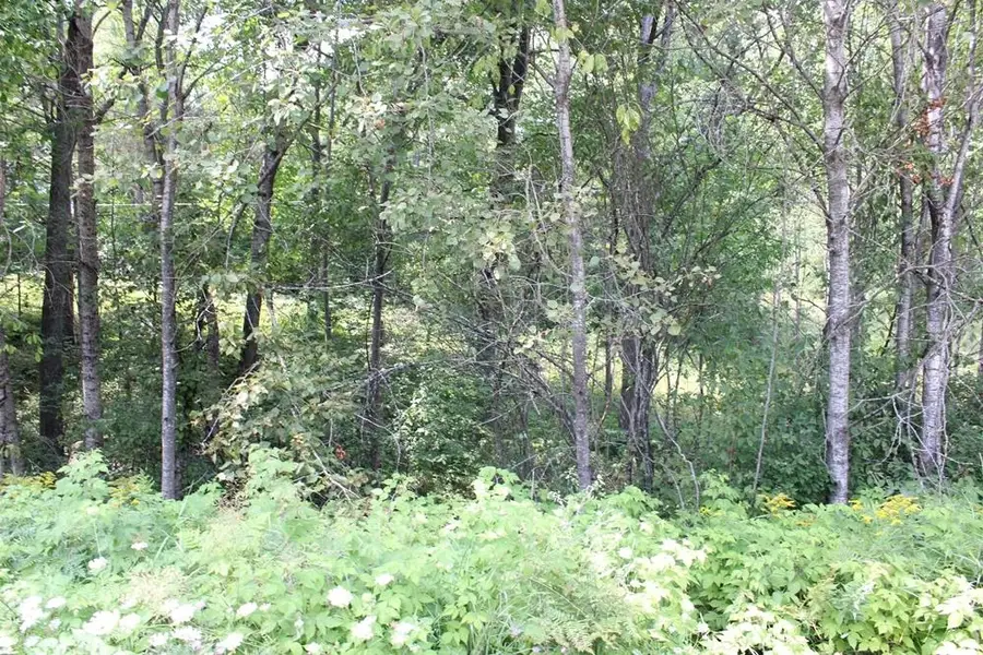 Parcel A-4 N Harding, Harrison, MI 48625 - Image #3