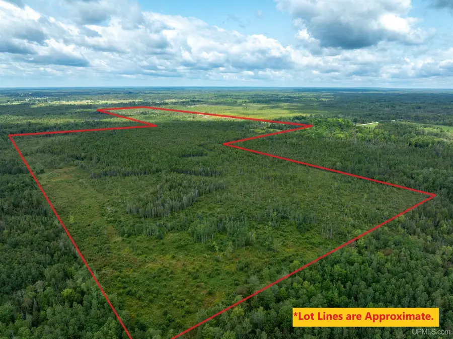 4889 E Maple Ridge 37th, Rock, MI 49880 - Image #2