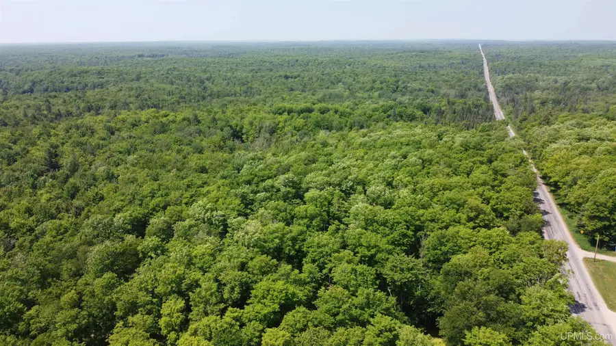 on E Shingleton, Shingleton, MI 49884 - Image #2