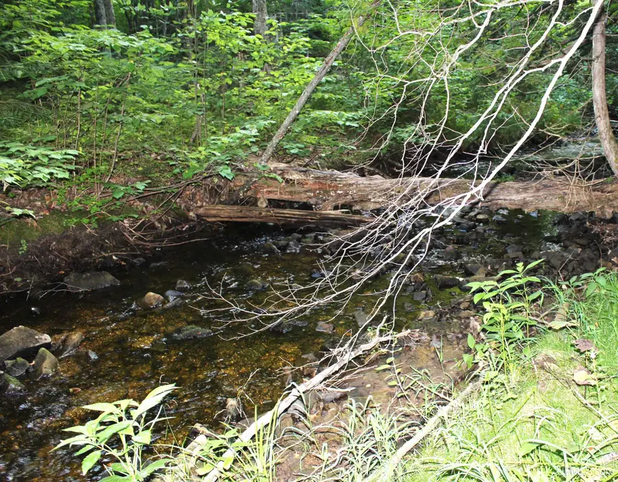 on E Shingleton, Shingleton, MI 49884 - Image #3