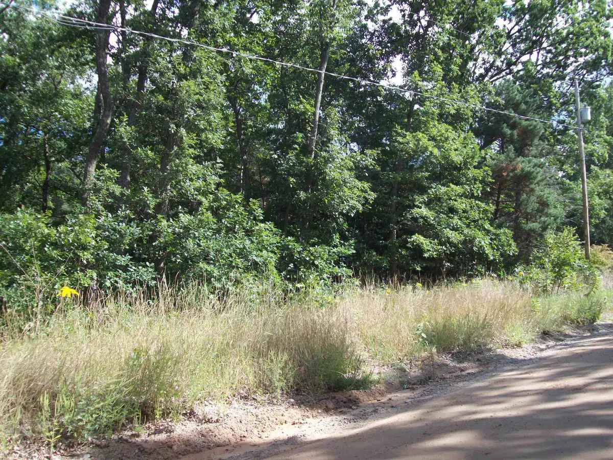 Lot 137 Maryland, Harrison, MI 48625 - Image #1