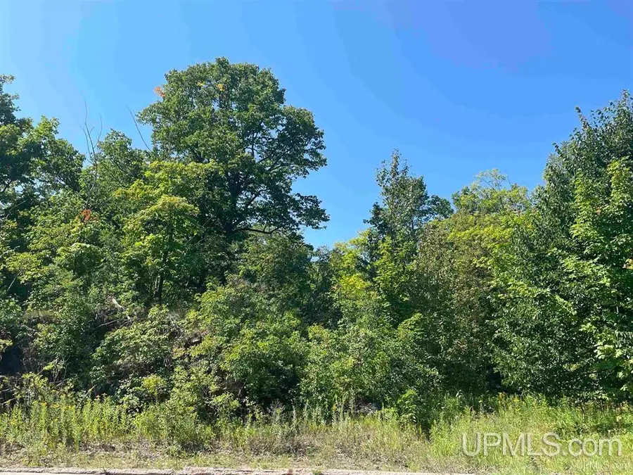 301 Garfield, Marquette, MI 49855 - Image #3