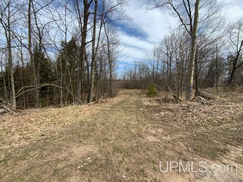 TBD W Us 41, Marquette, MI 49855 - Image #3