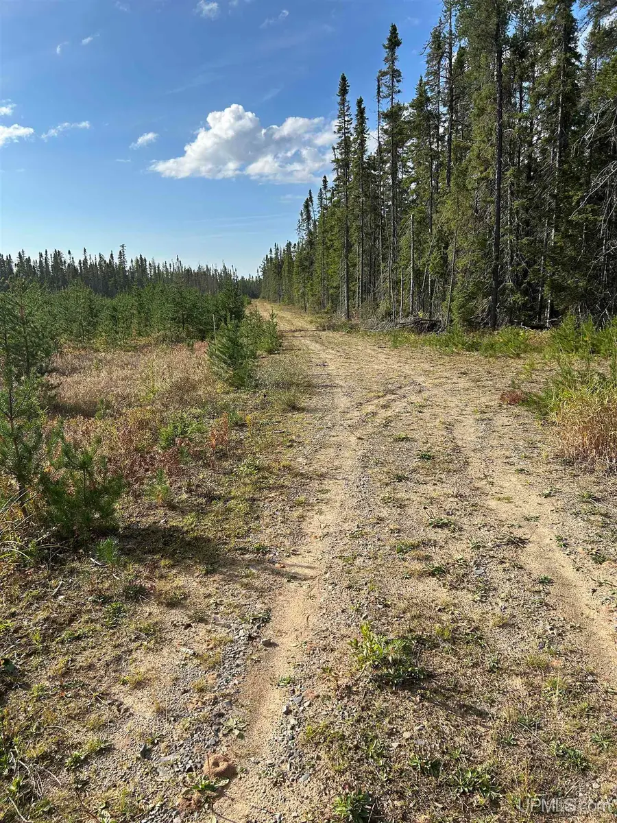 200 Acres Cr 573, Ishpeming, MI 49849 - Image #2
