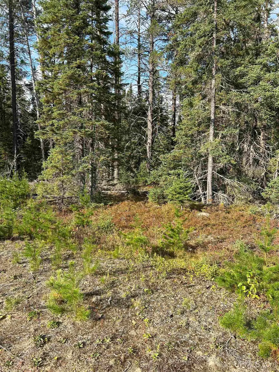 200 Acres Cr 573, Ishpeming, MI 49849 - Image #3