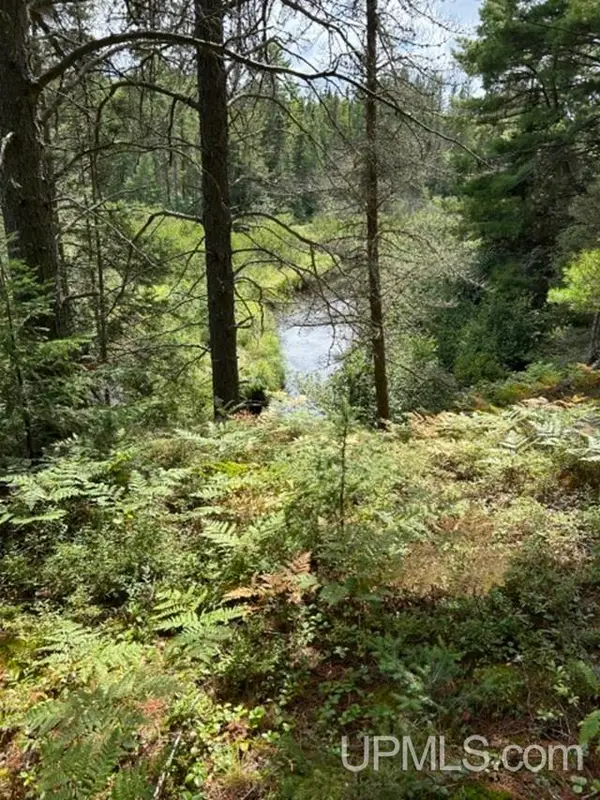 170 Acres Off Cr 573, Ishpeming, MI 49849