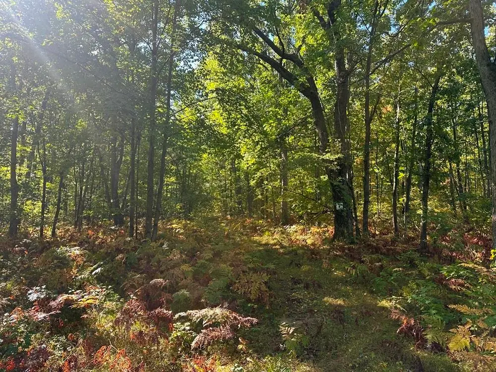 300-31 Easement, Harrison, MI 48625 - Image #1