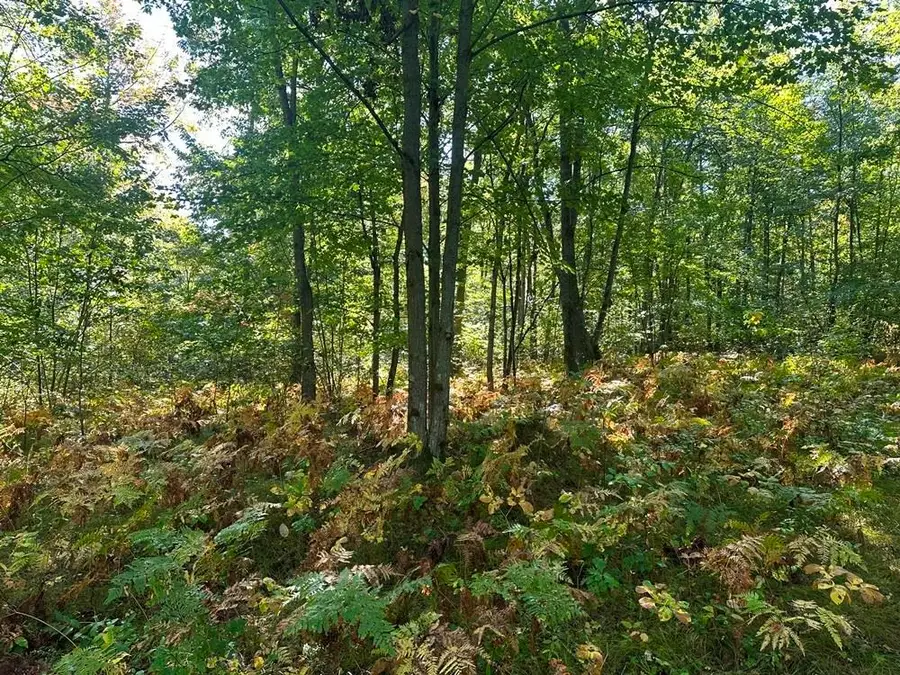 300-31 Easement, Harrison, MI 48625 - Image #2