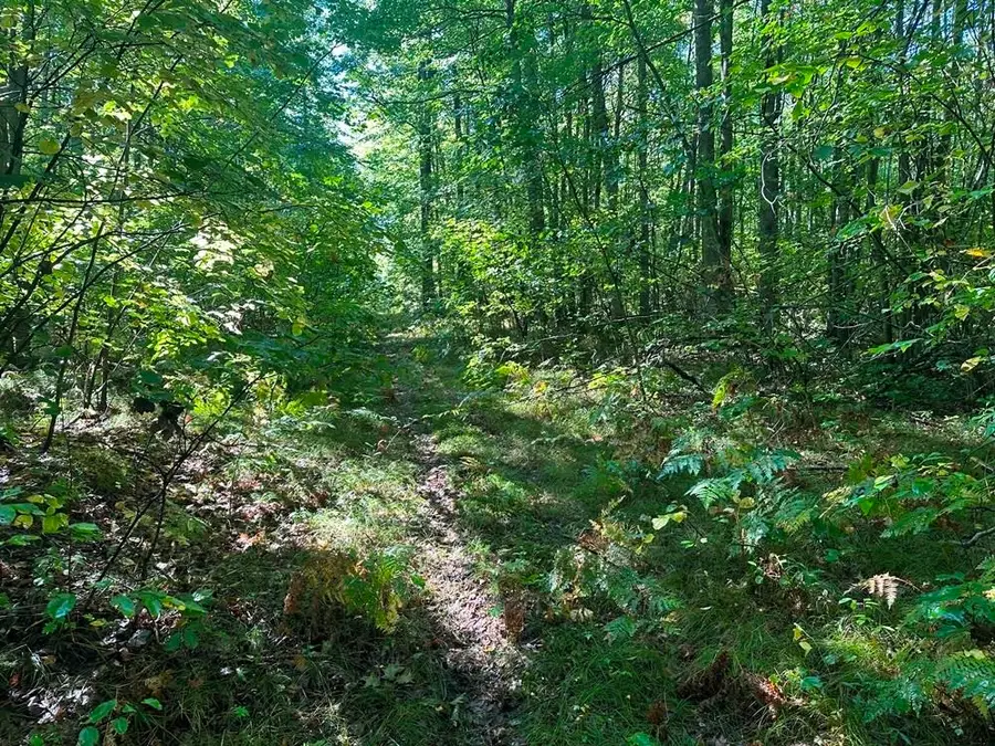 300-31 Easement, Harrison, MI 48625 - Image #3