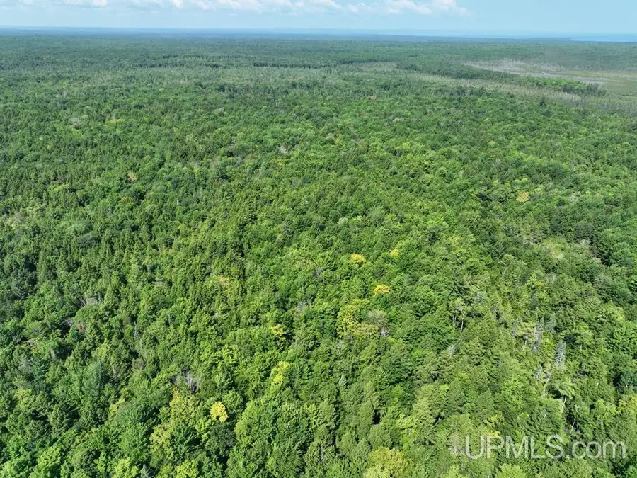 0000 Peter White, Au Train, MI 49806 - #2