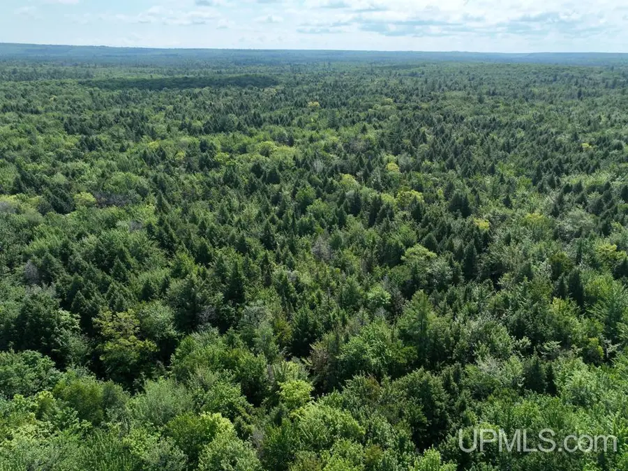 0000 Peter White, Au Train, MI 49806 - #3