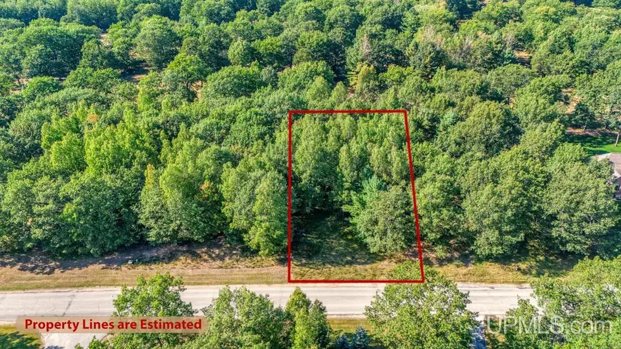 Lot 3 Irish Oaks Estates Tipperary, Gladstone, MI 49837 - Image #3