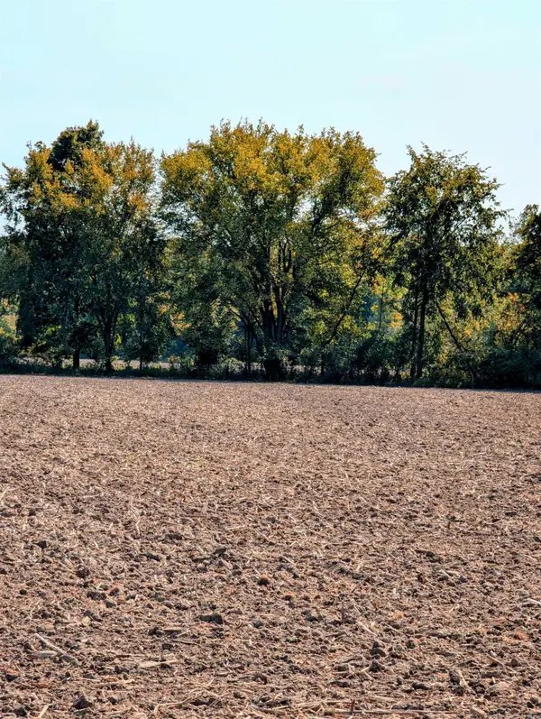 31 Mile, Ray Twp, MI 48096