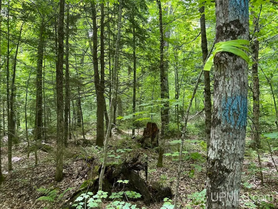 TBD Off The Hazel, Portage, MI 49965 - #2