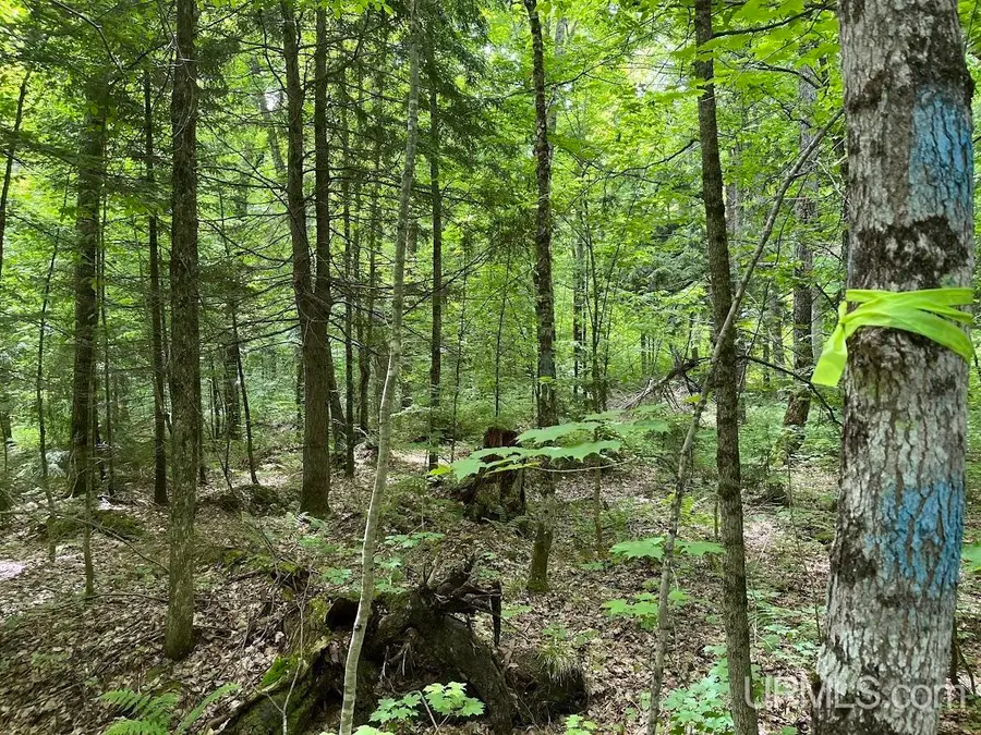 TBD Off The Hazel, Portage, MI 49965 - #3