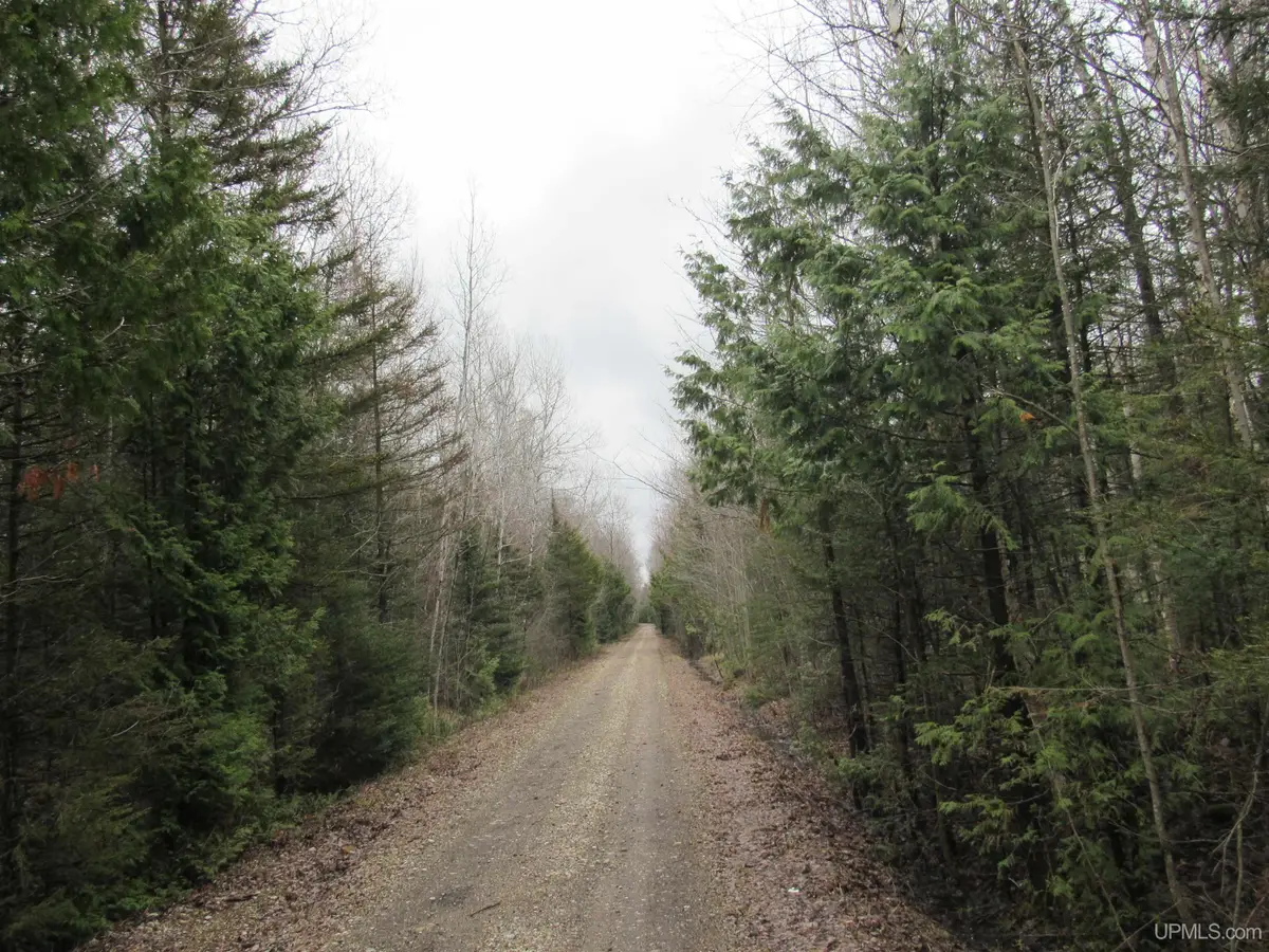 TBD Deerton-sand Lake, Deerton, MI 49822 - Image #1