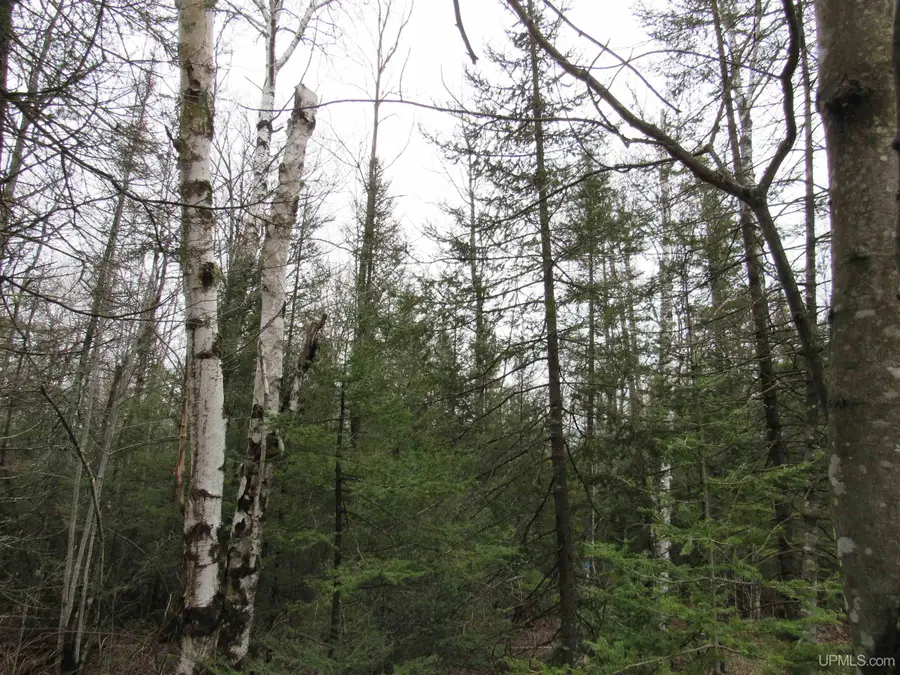 TBD Deerton-sand Lake, Deerton, MI 49822 - Image #3