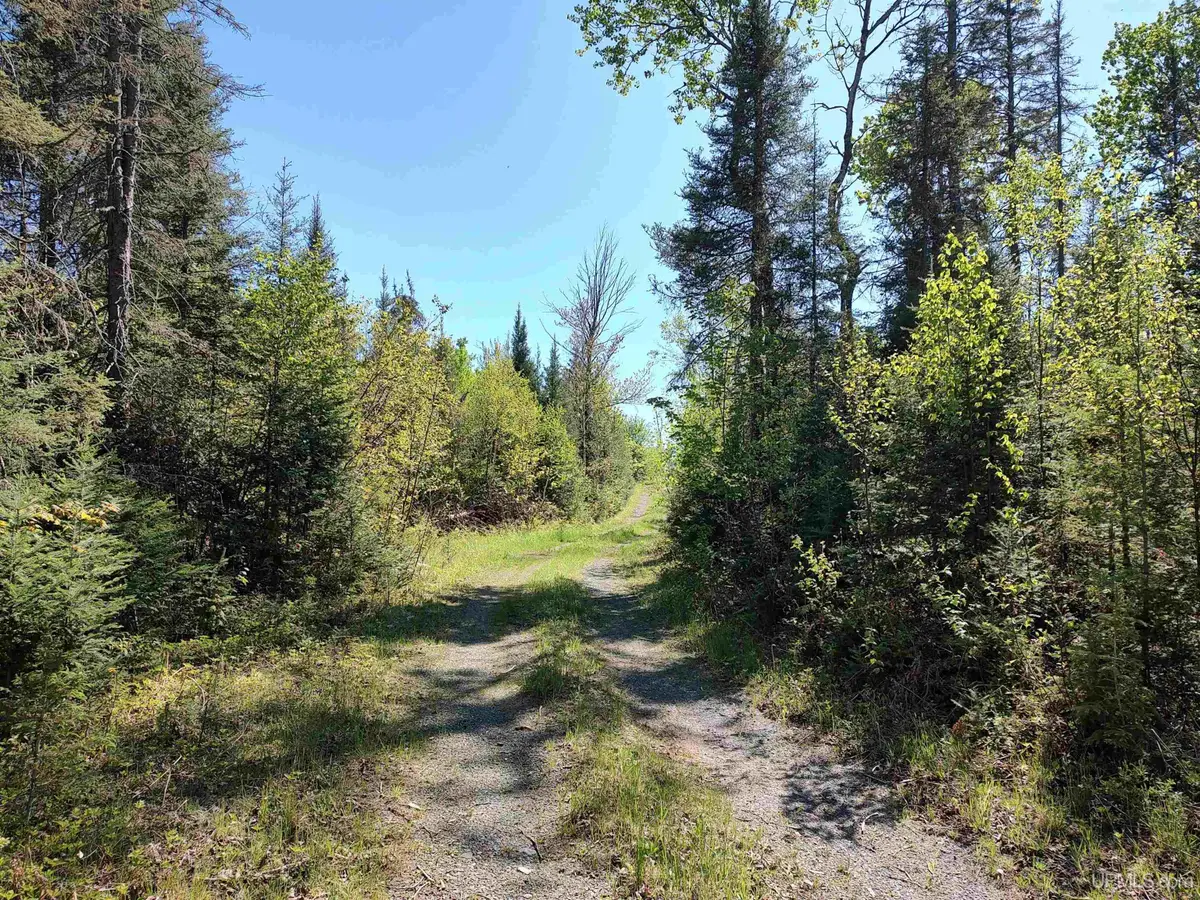 74 Acres Us41, Covington, MI 49919 - Image #1