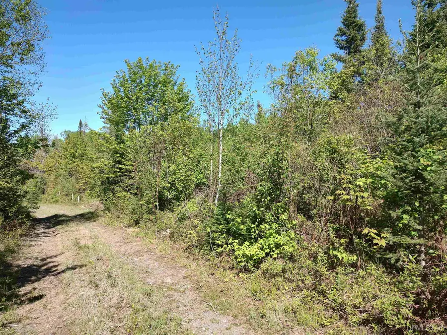 74 Acres Us41, Covington, MI 49919 - Image #2