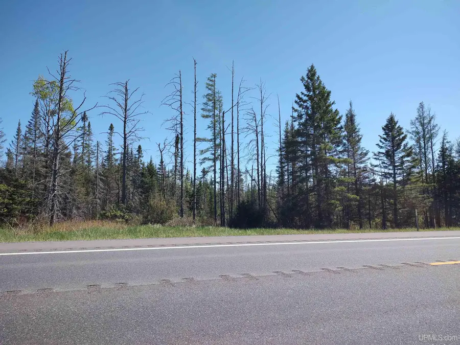 74 Acres Us41, Covington, MI 49919 - Image #3