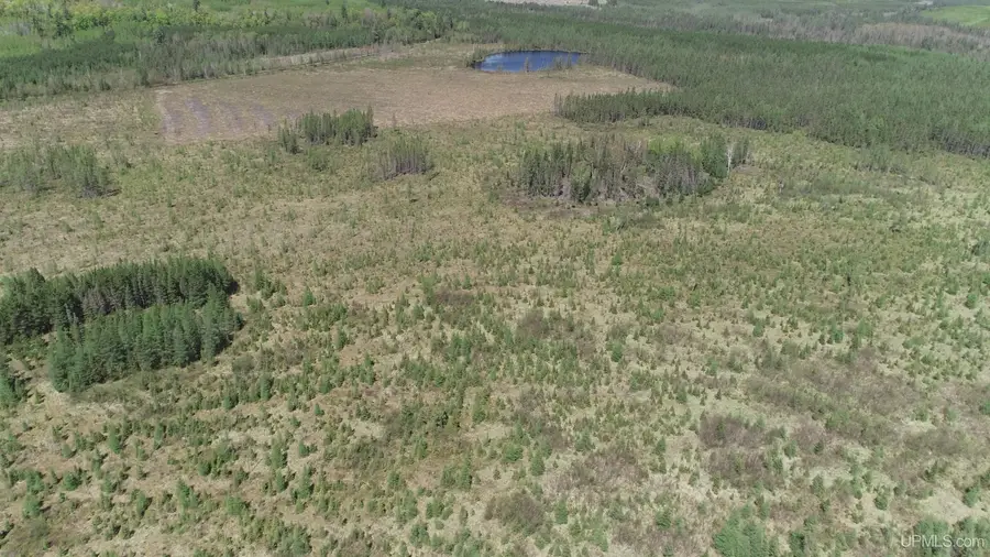 58 Acres Co Rd Fn, Champion, MI 49814 - Image #2