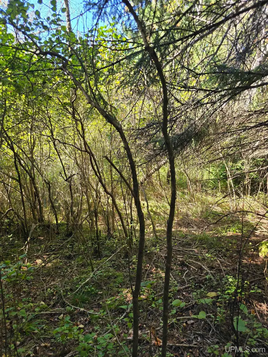 Unit 16 Liminga, Atlantic Mine, MI 49905 - Image #2