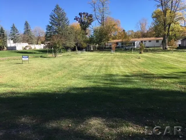 lots 31 & 43 N Canal St, Onsted, MI 49265 - Image #2